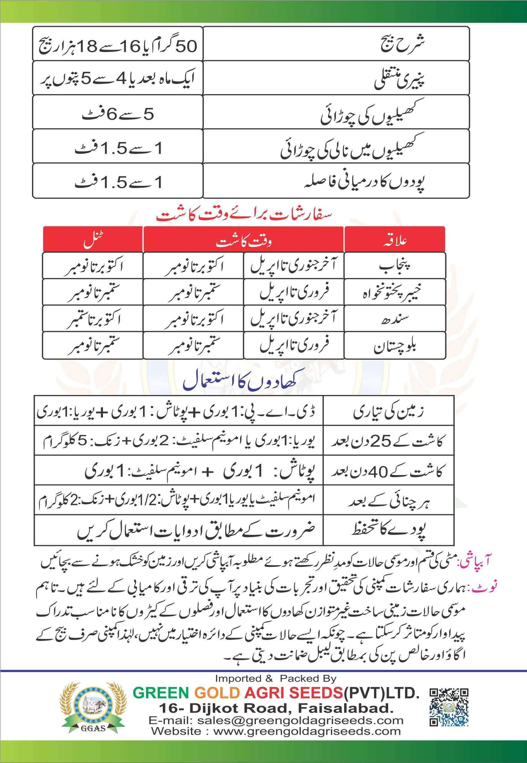 hybrid tomato seeds in pakistan